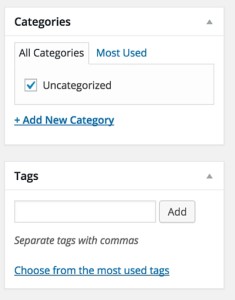 Screenshot 15 - posts and pages - categories and tags (2)