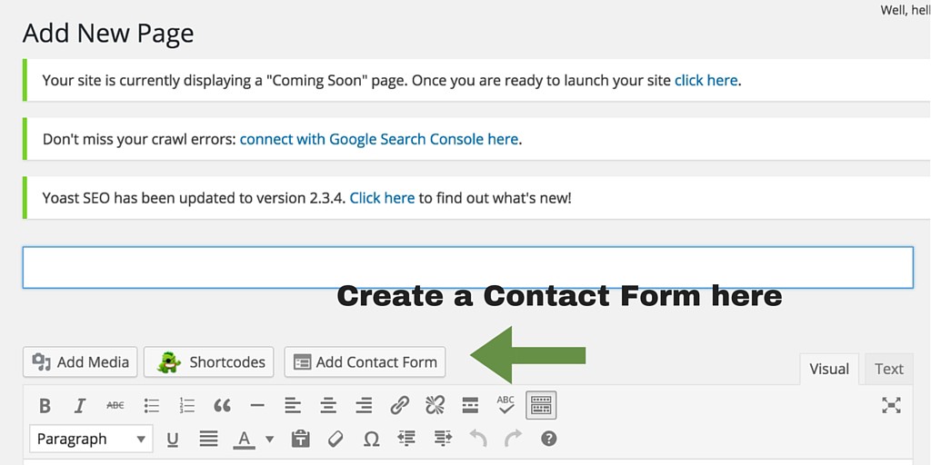 Screenshot 16 - Posts and pages - contact form