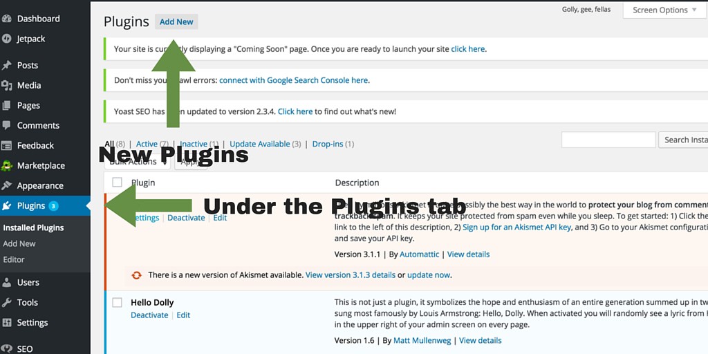 Screenshot 7 - setting up WordPress general settings - Plugins